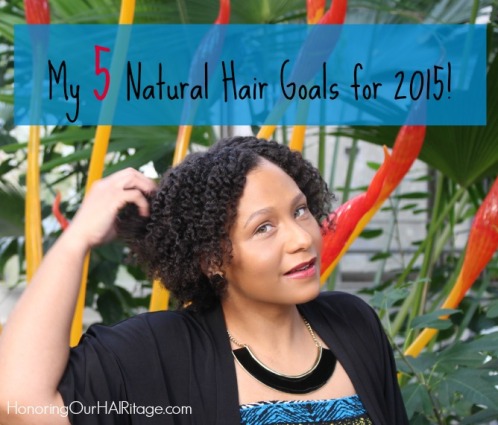 Post Image - 5 Natural Hair Goals 2015